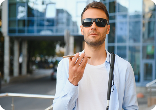 Accessifylabs Provides Expert (1)