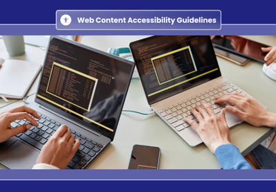 Web Content Accessibility Guidelines (2)